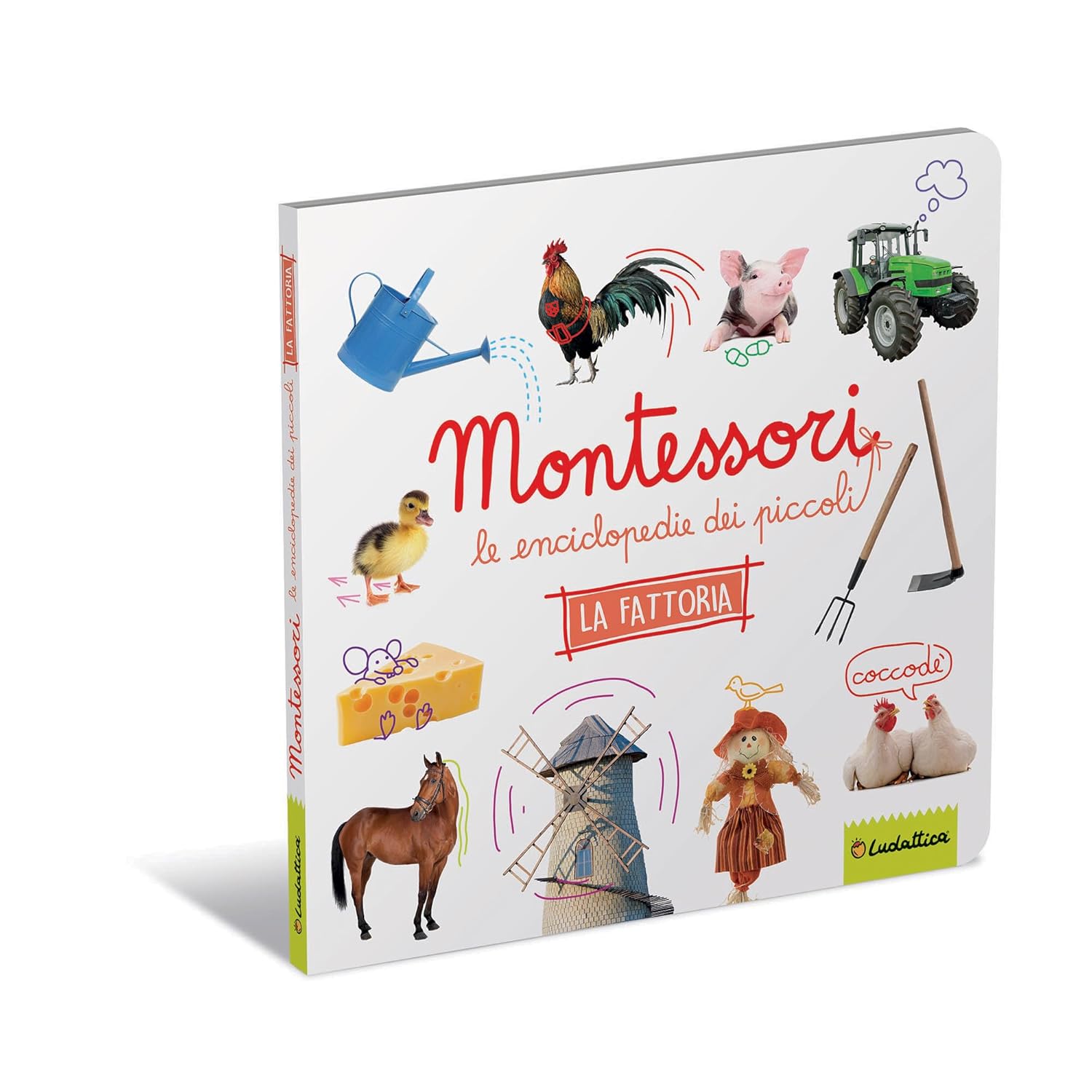 Montessori- Le enciclopedie dei piccoli